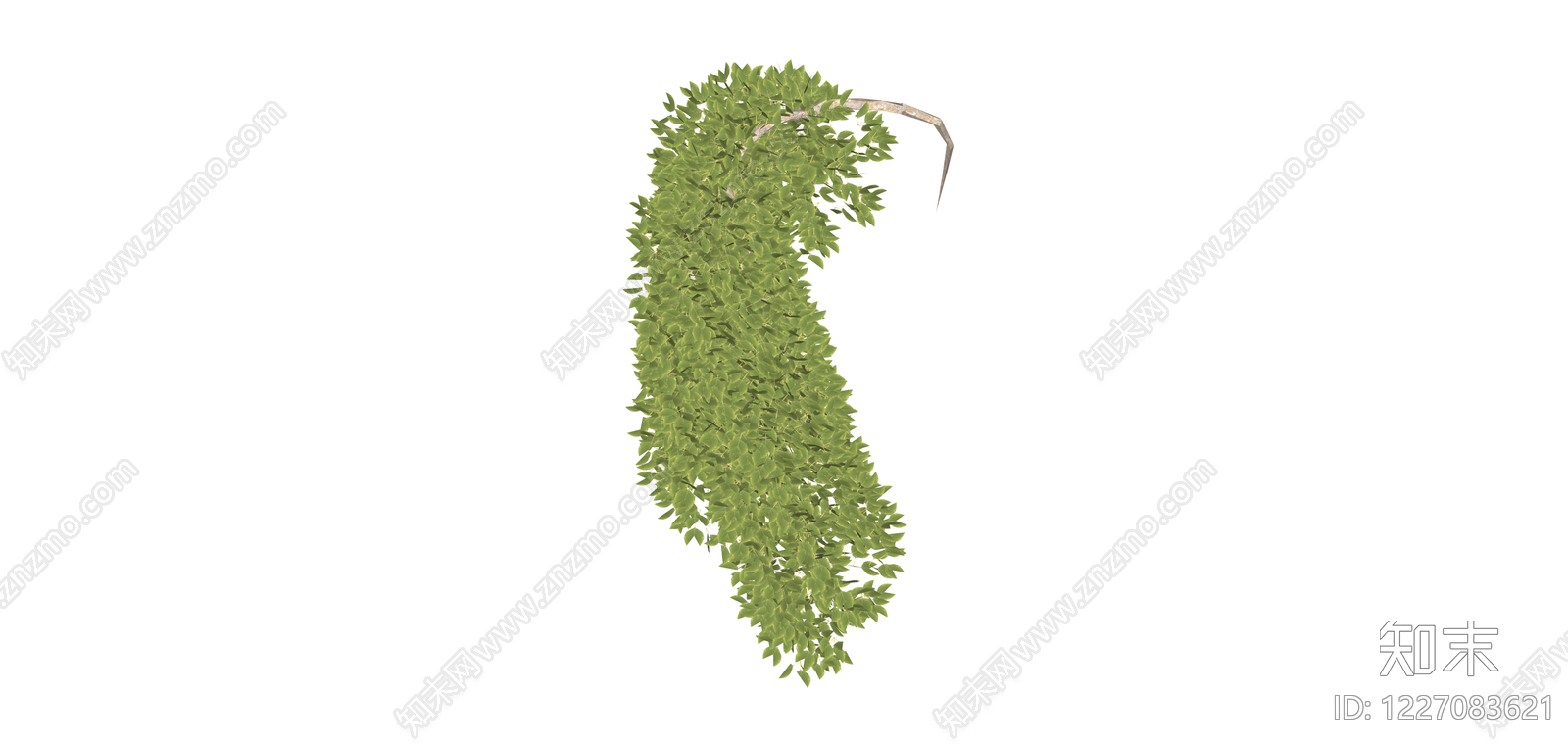 垂叶绿植景观组件SU模型下载【ID:1227083621】