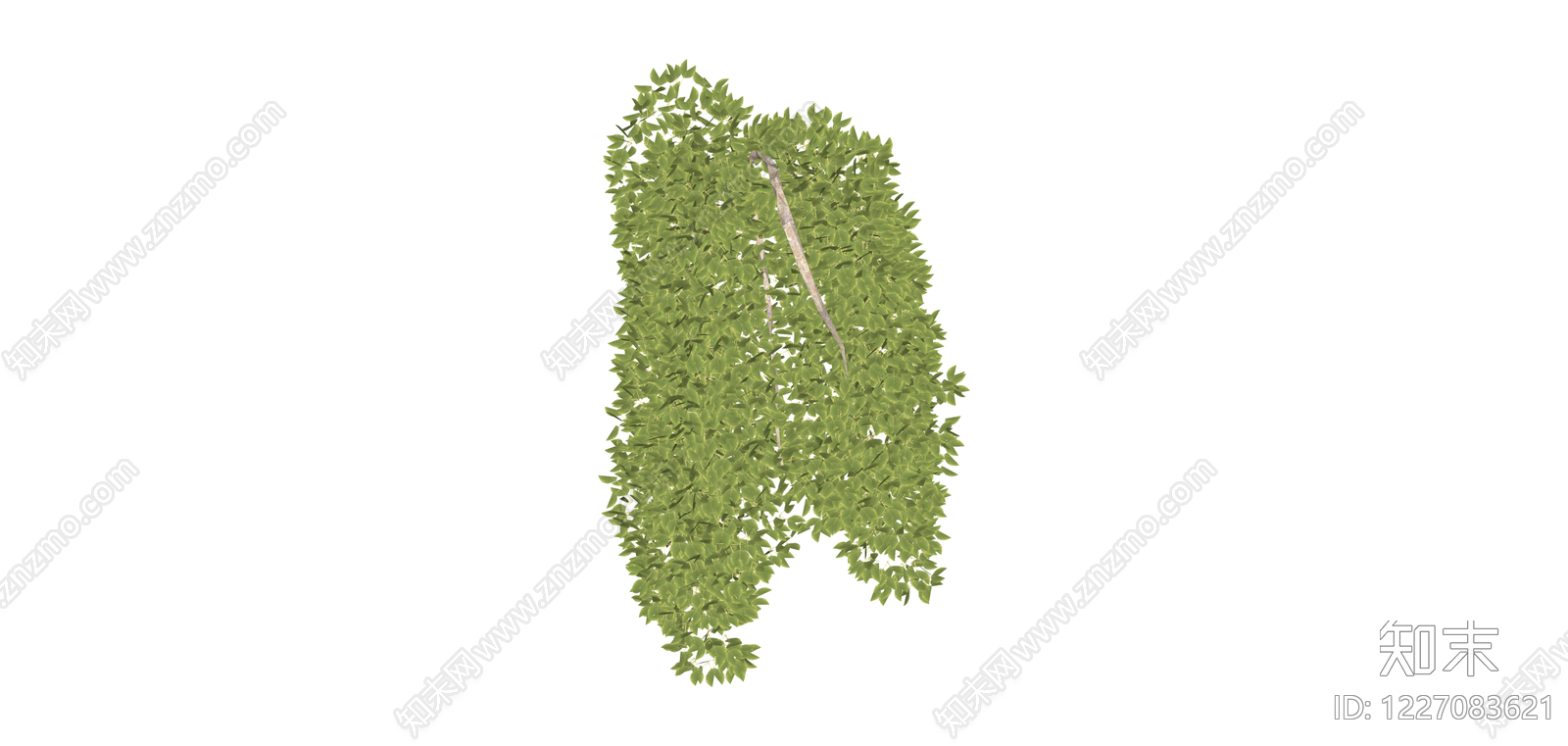 垂叶绿植景观组件SU模型下载【ID:1227083621】