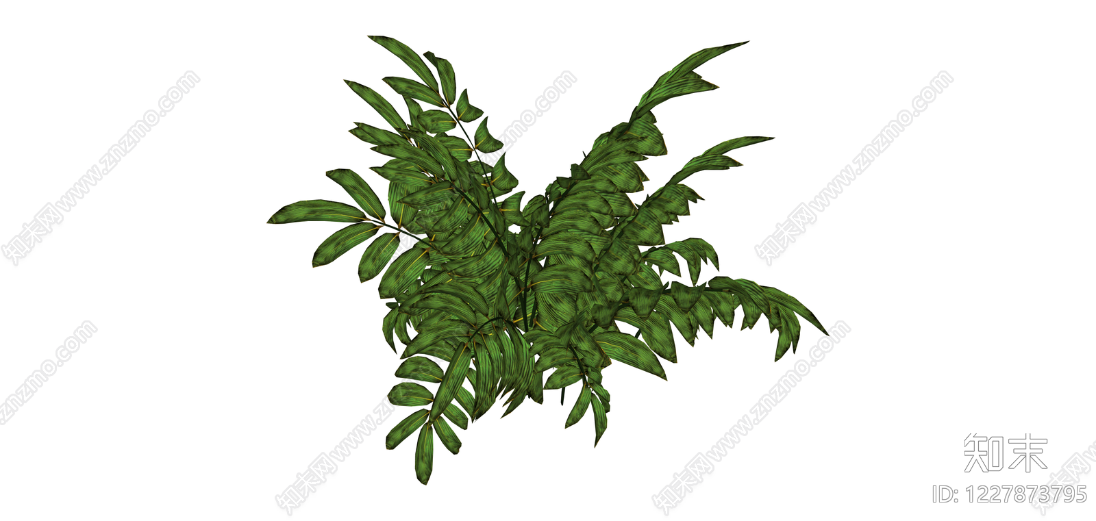 丛生观叶植物SU模型下载【ID:1227873795】