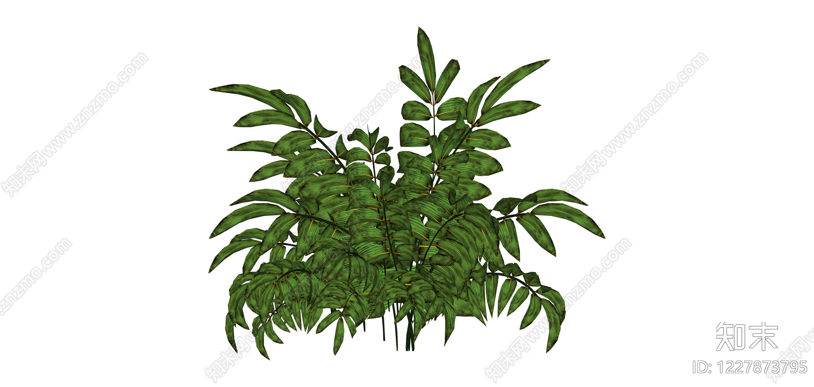 丛生观叶植物SU模型下载【ID:1227873795】