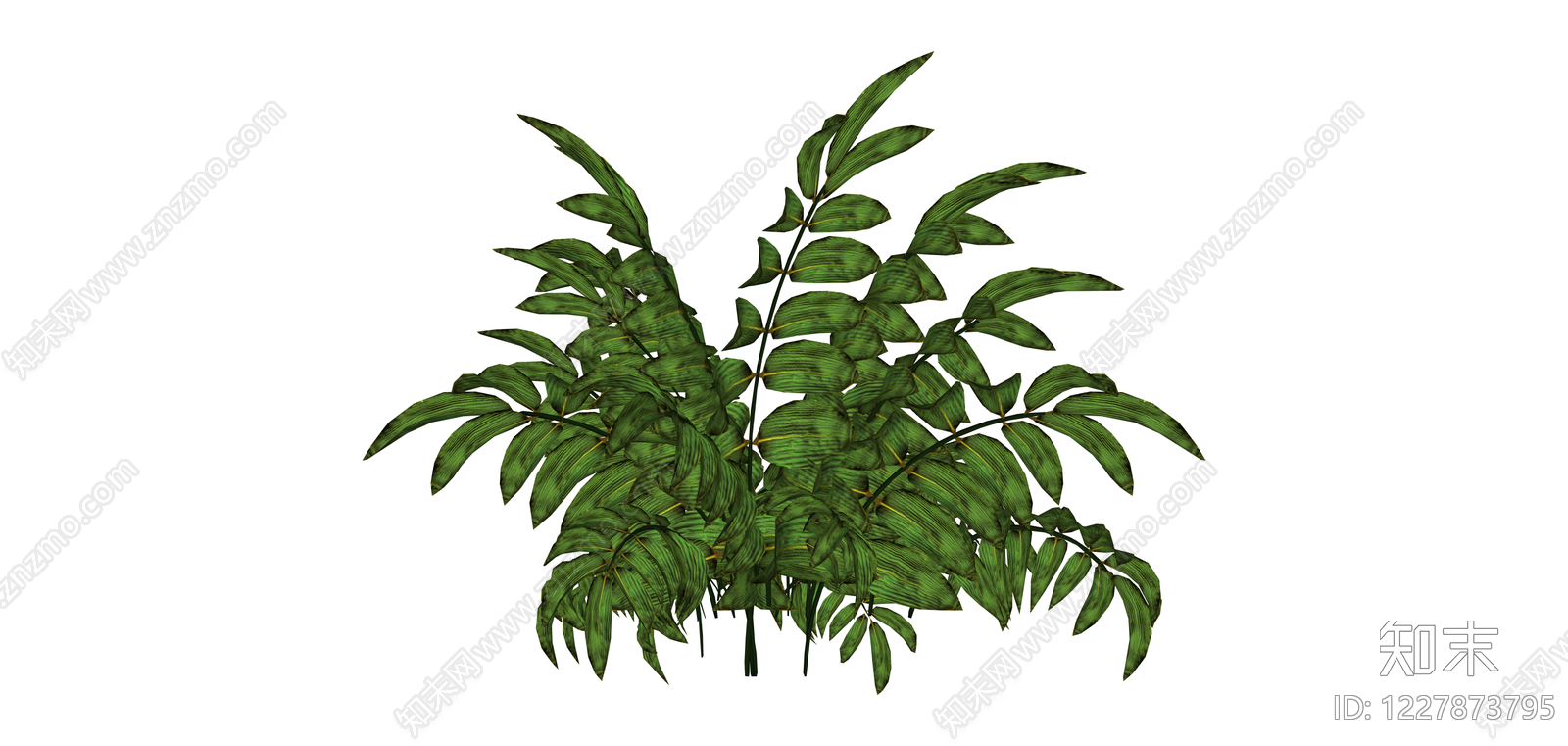 丛生观叶植物SU模型下载【ID:1227873795】