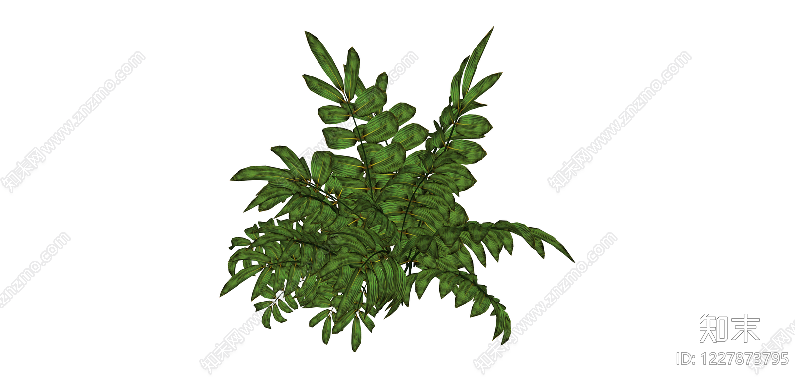 丛生观叶植物SU模型下载【ID:1227873795】