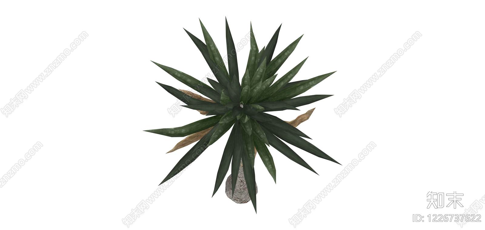 棕榈树模型SU模型下载【ID:1226737622】