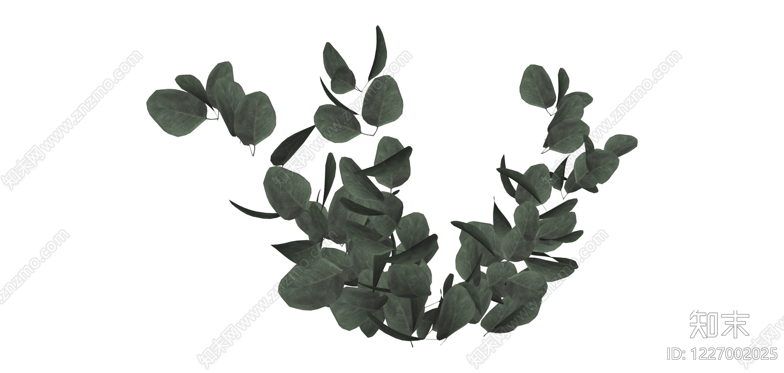 尤加利叶植物组合SU模型下载【ID:1227002025】