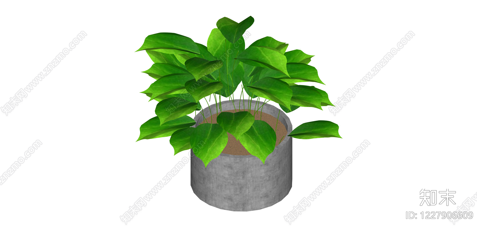 灰色方形盆栽绿植SU模型下载【ID:1227906609】
