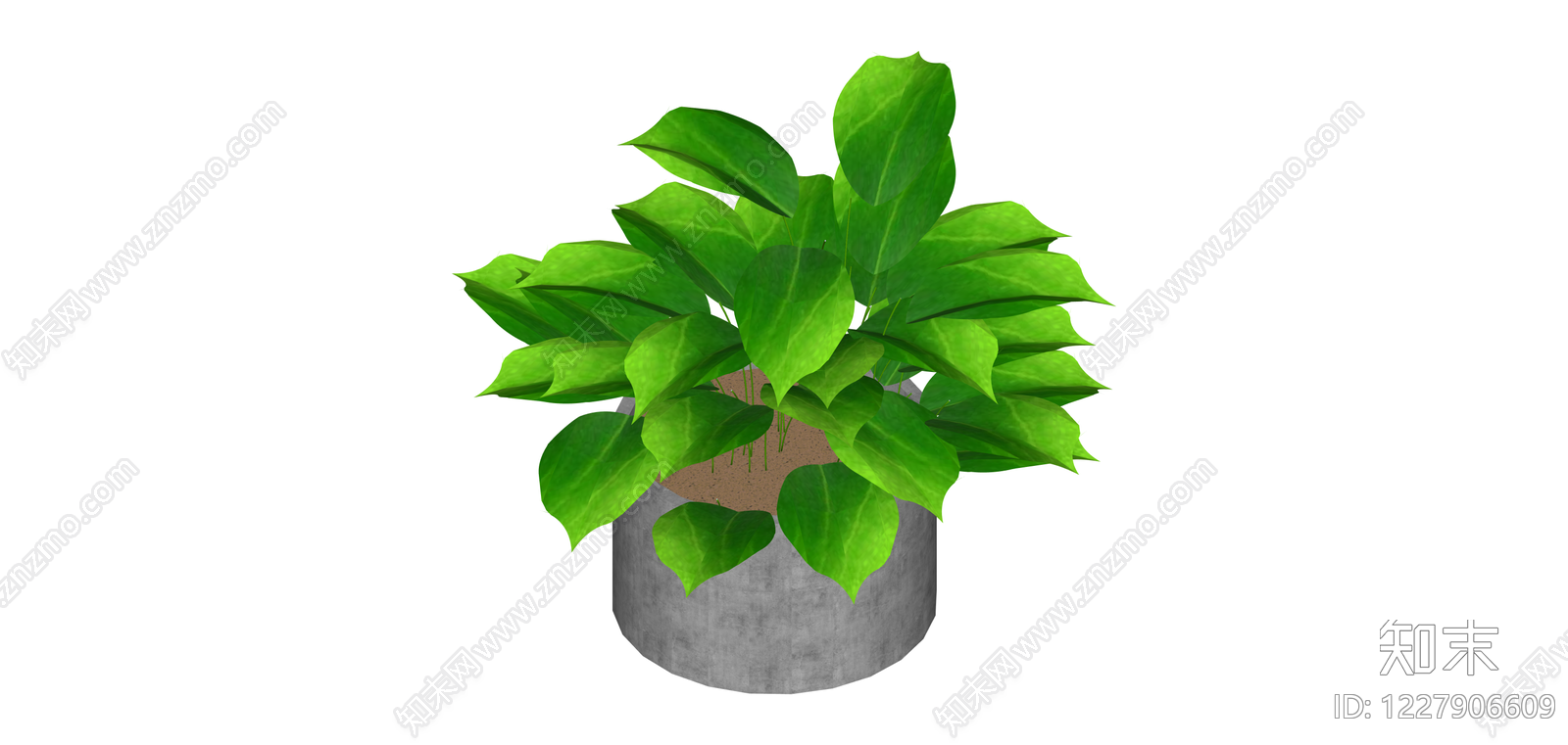 灰色方形盆栽绿植SU模型下载【ID:1227906609】
