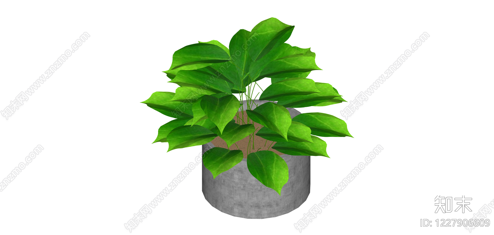 灰色方形盆栽绿植SU模型下载【ID:1227906609】