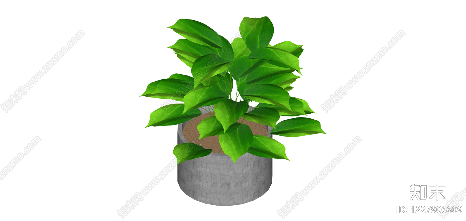 灰色方形盆栽绿植SU模型下载【ID:1227906609】