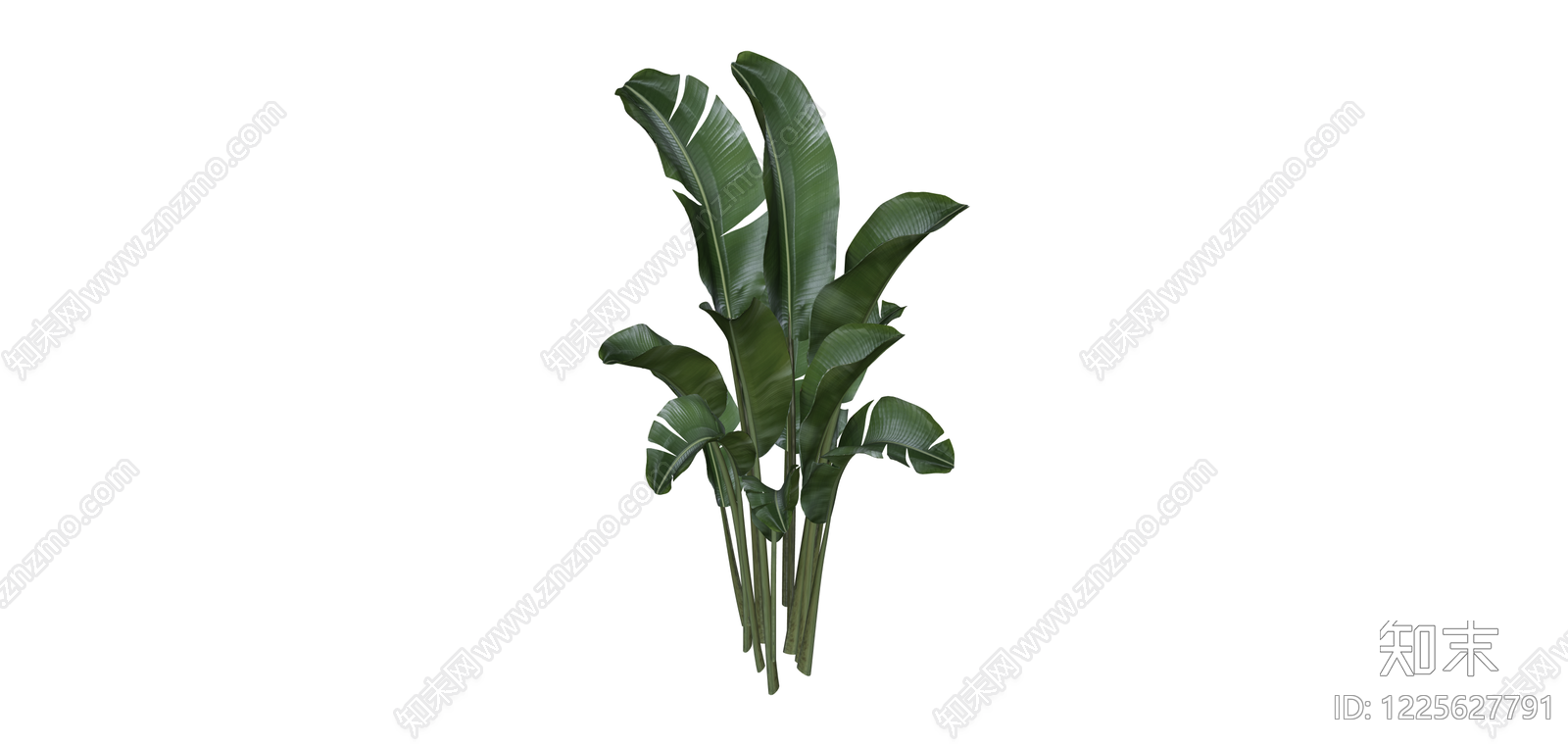 大型阔叶绿植SU模型下载【ID:1225627791】