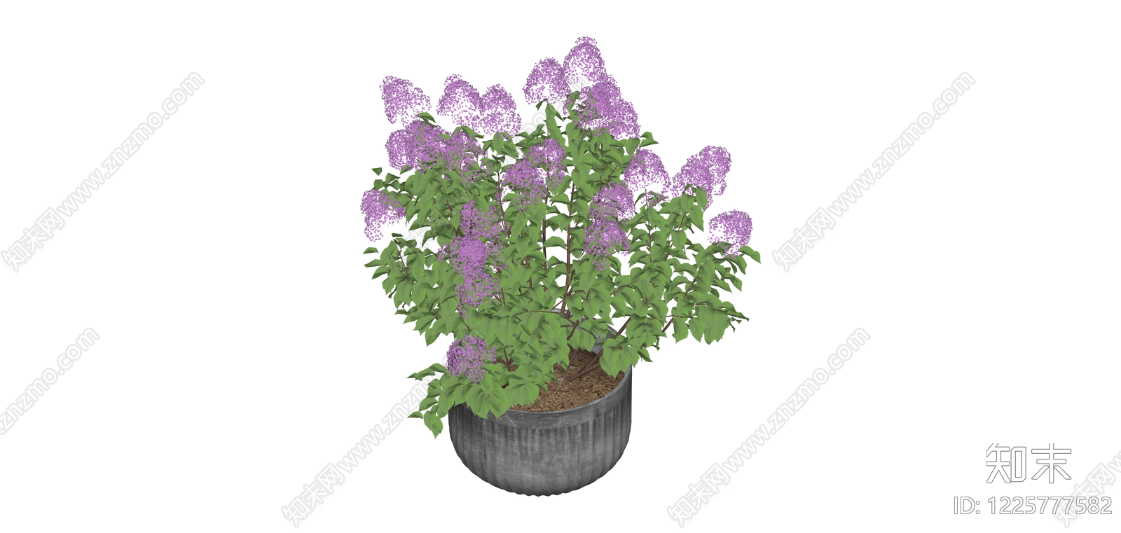 紫色花盆栽植物SU模型下载【ID:1225777582】