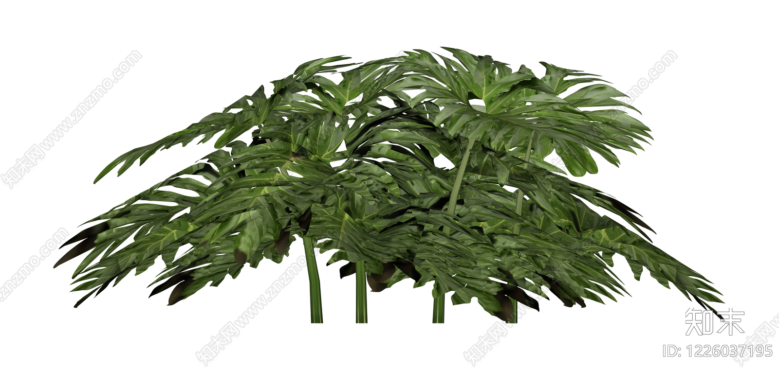 丛生阔叶绿植灌木SU模型下载【ID:1226037195】