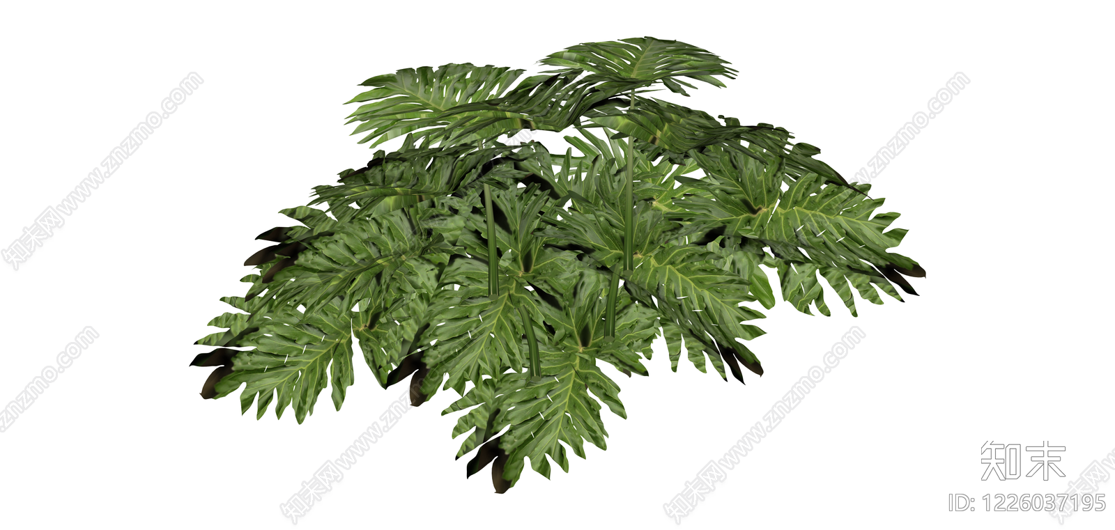 丛生阔叶绿植灌木SU模型下载【ID:1226037195】