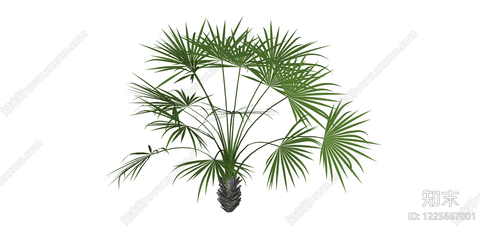 仿真棕榈植物盆栽SU模型下载【ID:1225667001】