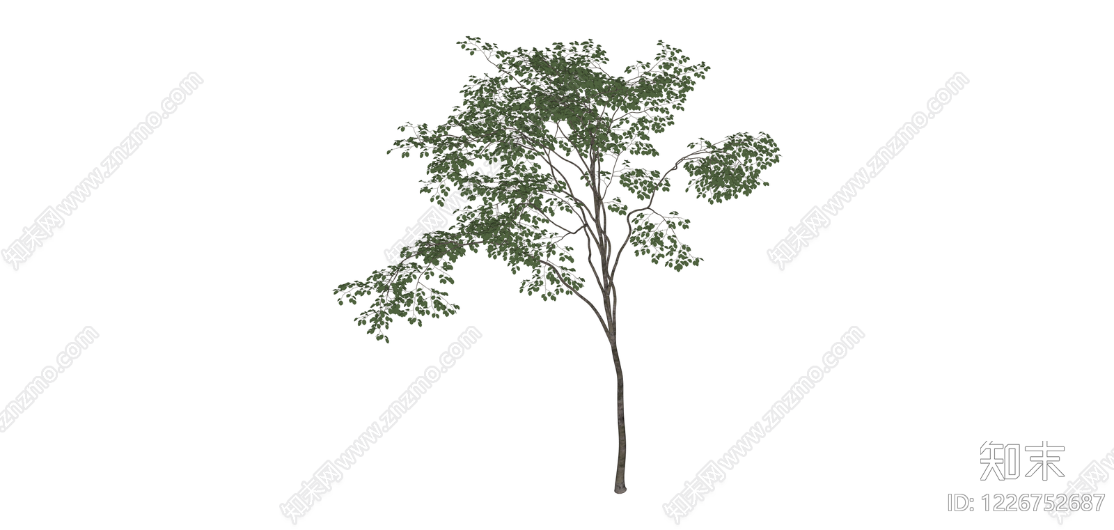 独立景观乔木模型SU模型下载【ID:1226752687】