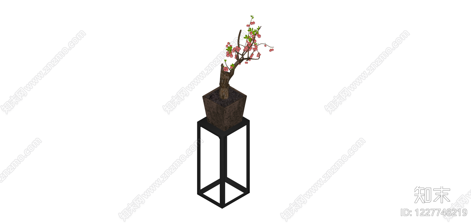 带盆樱花盆栽SU模型下载【ID:1227748219】