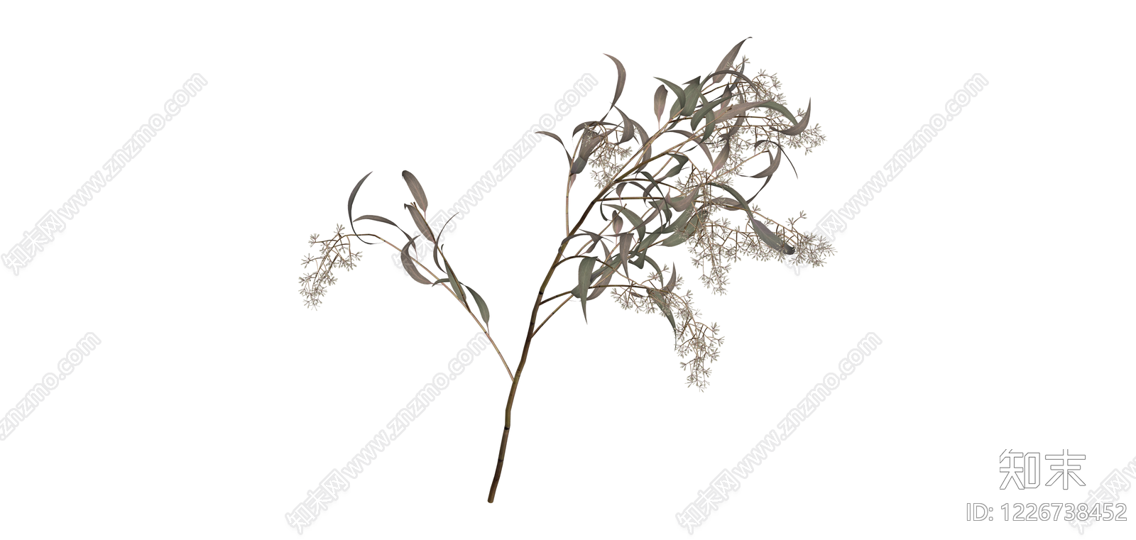 尤加利花艺枝条SU模型下载【ID:1226738452】