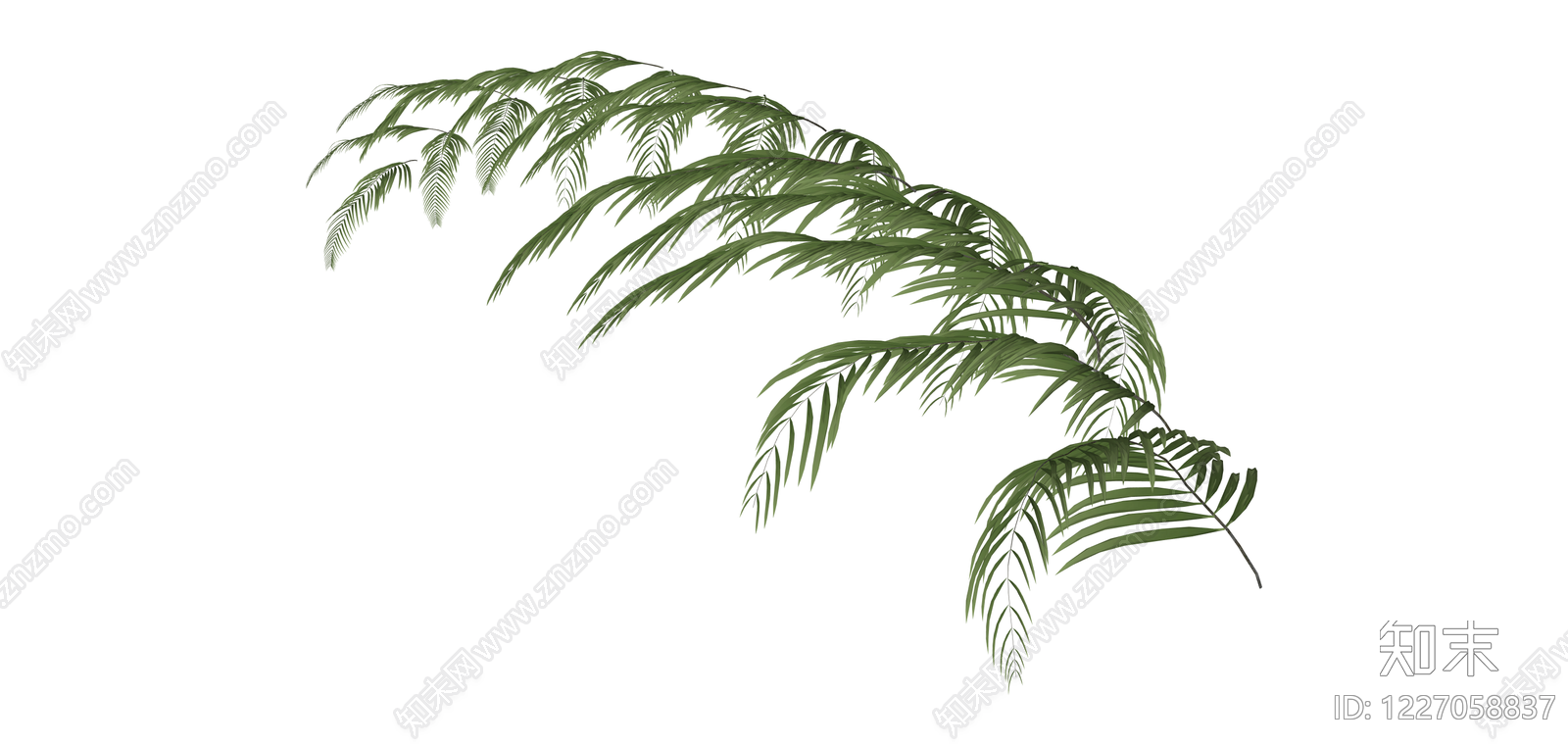 绿色棕榈叶植物枝条SU模型下载【ID:1227058837】