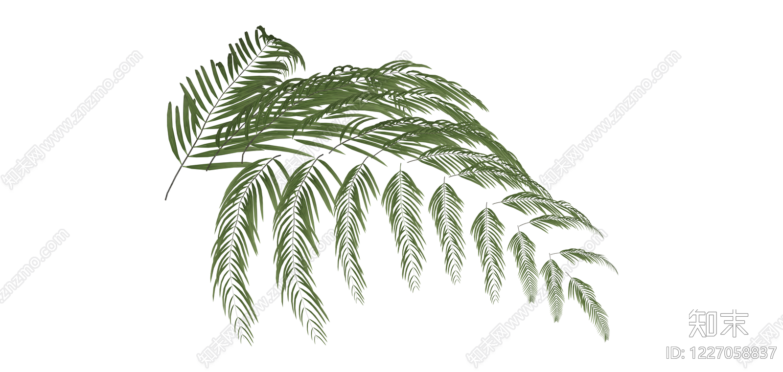 绿色棕榈叶植物枝条SU模型下载【ID:1227058837】