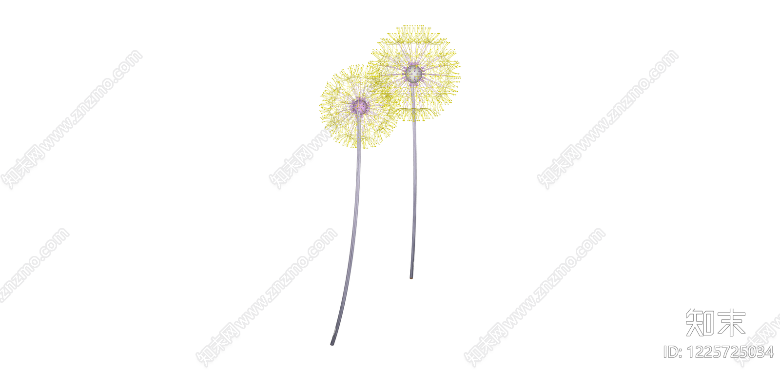 蒲公英植物组合SU模型下载【ID:1225725034】