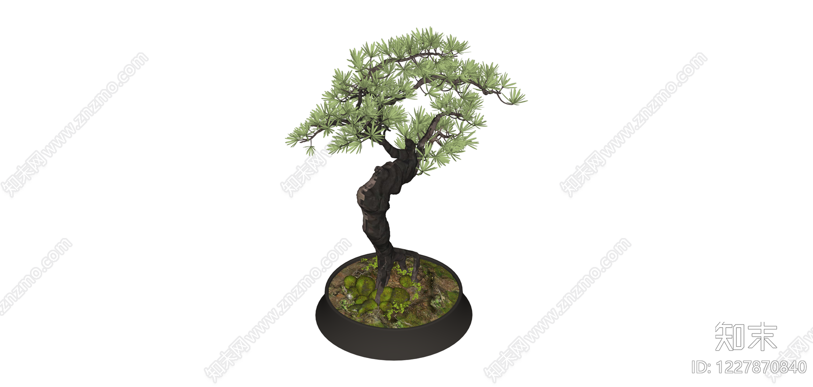 盆景松树盆栽SU模型下载【ID:1227870840】