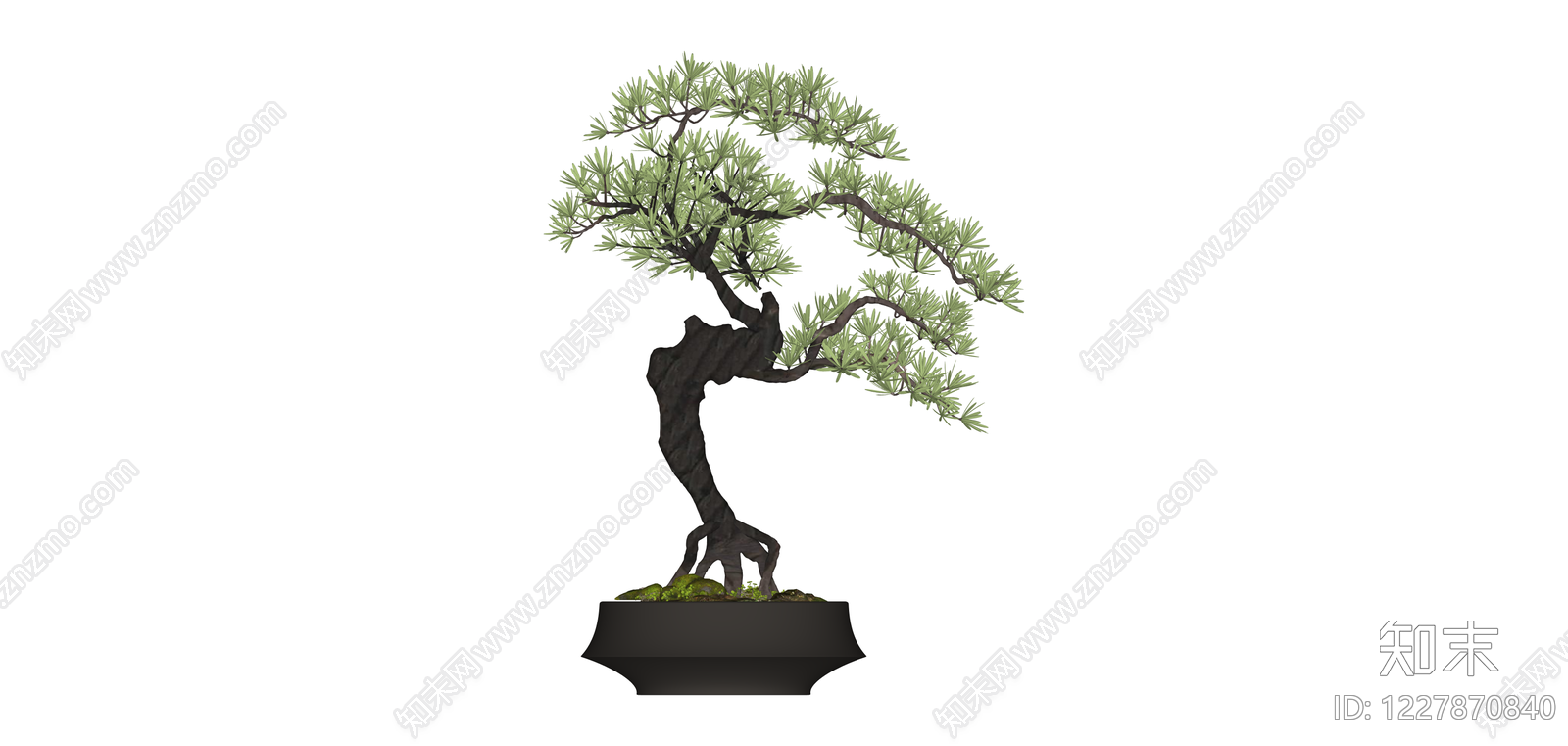 盆景松树盆栽SU模型下载【ID:1227870840】