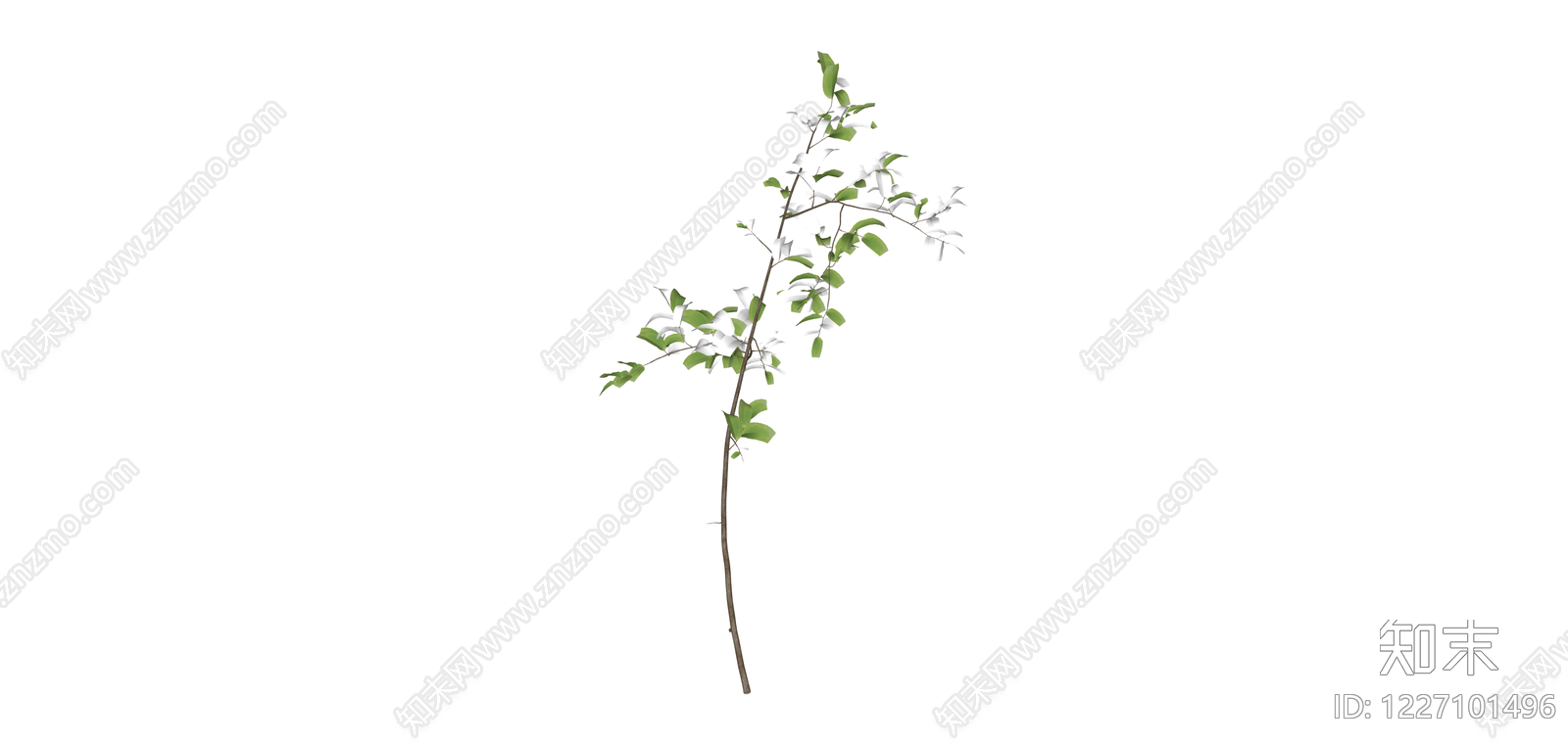 带花绿叶植物枝条SU模型下载【ID:1227101496】