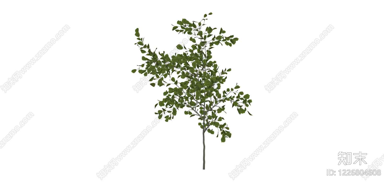 绿叶乔木植物模型SU模型下载【ID:1226804608】