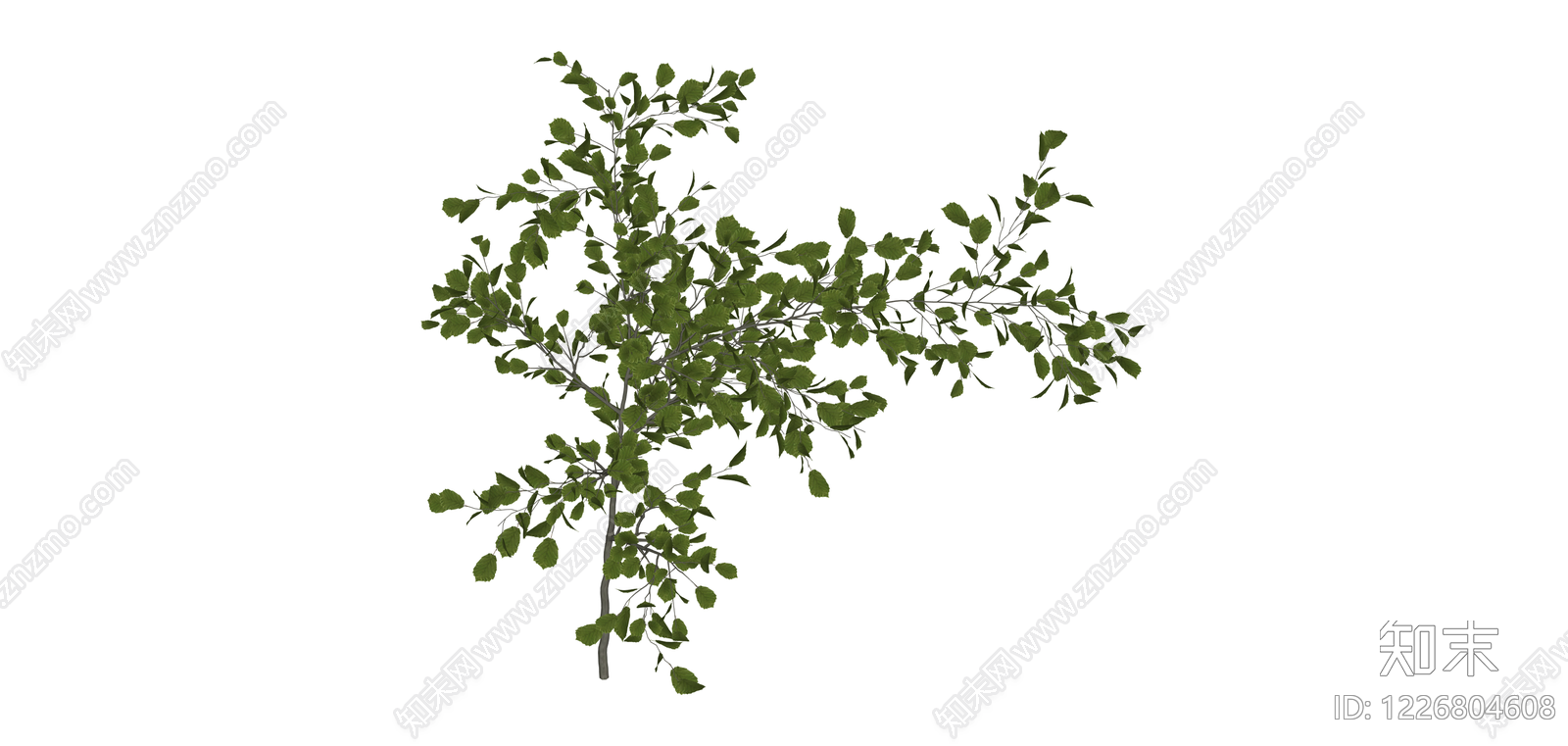 绿叶乔木植物模型SU模型下载【ID:1226804608】