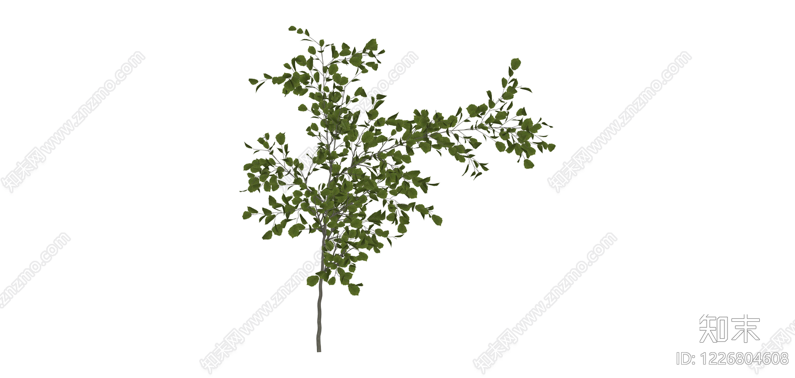 绿叶乔木植物模型SU模型下载【ID:1226804608】