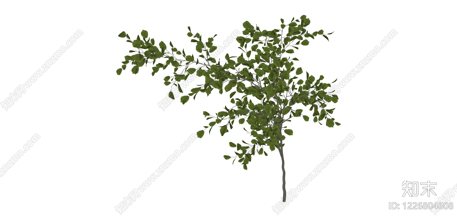 绿叶乔木植物模型SU模型下载【ID:1226804608】