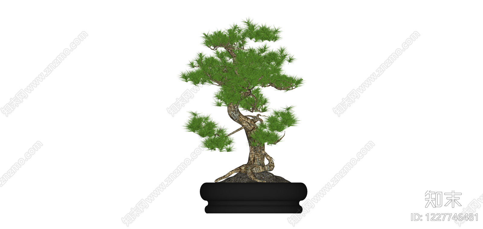 带盆松树盆景SU模型下载【ID:1227746481】