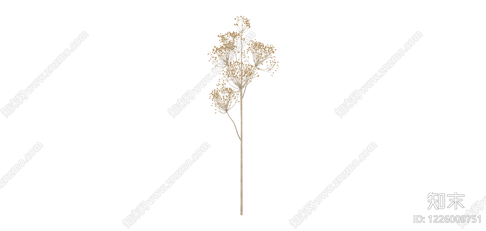 干燥植物花艺组合SU模型下载【ID:1226009751】
