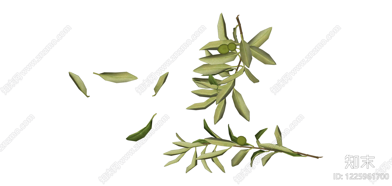 橄榄树枝叶组合SU模型下载【ID:1225961700】