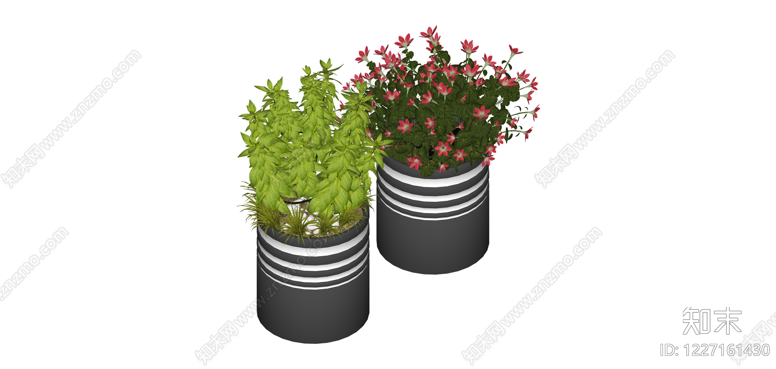 双盆栽植物组合SU模型下载【ID:1227161430】