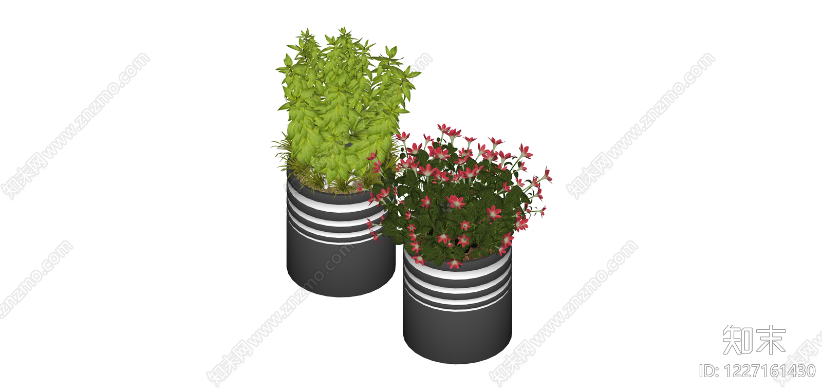双盆栽植物组合SU模型下载【ID:1227161430】