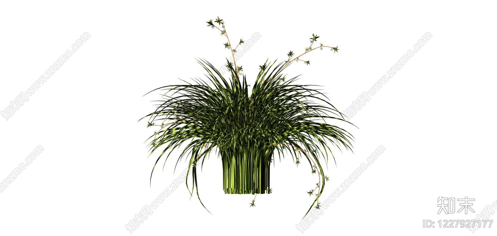 丛生观赏草绿植SU模型下载【ID:1227927177】