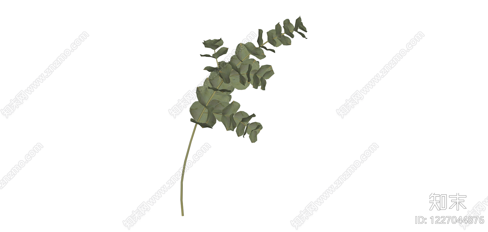 尤加利叶植物枝条SU模型下载【ID:1227044876】