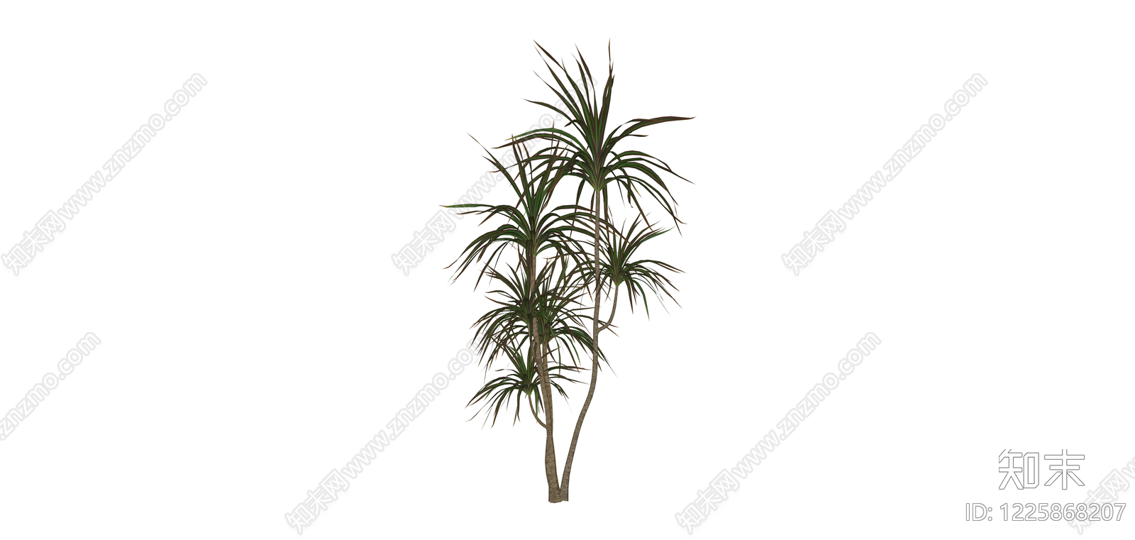 多杆龙血树绿植SU模型下载【ID:1225868207】