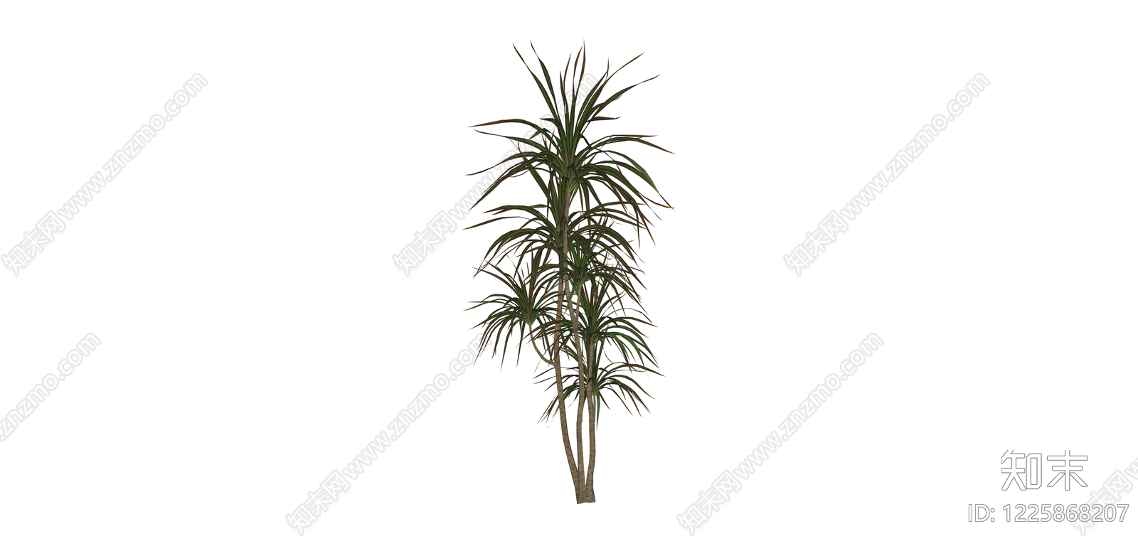 多杆龙血树绿植SU模型下载【ID:1225868207】