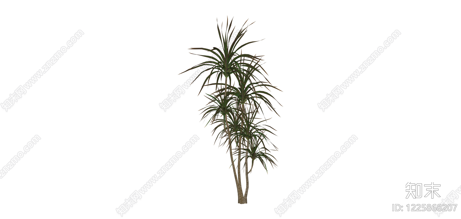 多杆龙血树绿植SU模型下载【ID:1225868207】