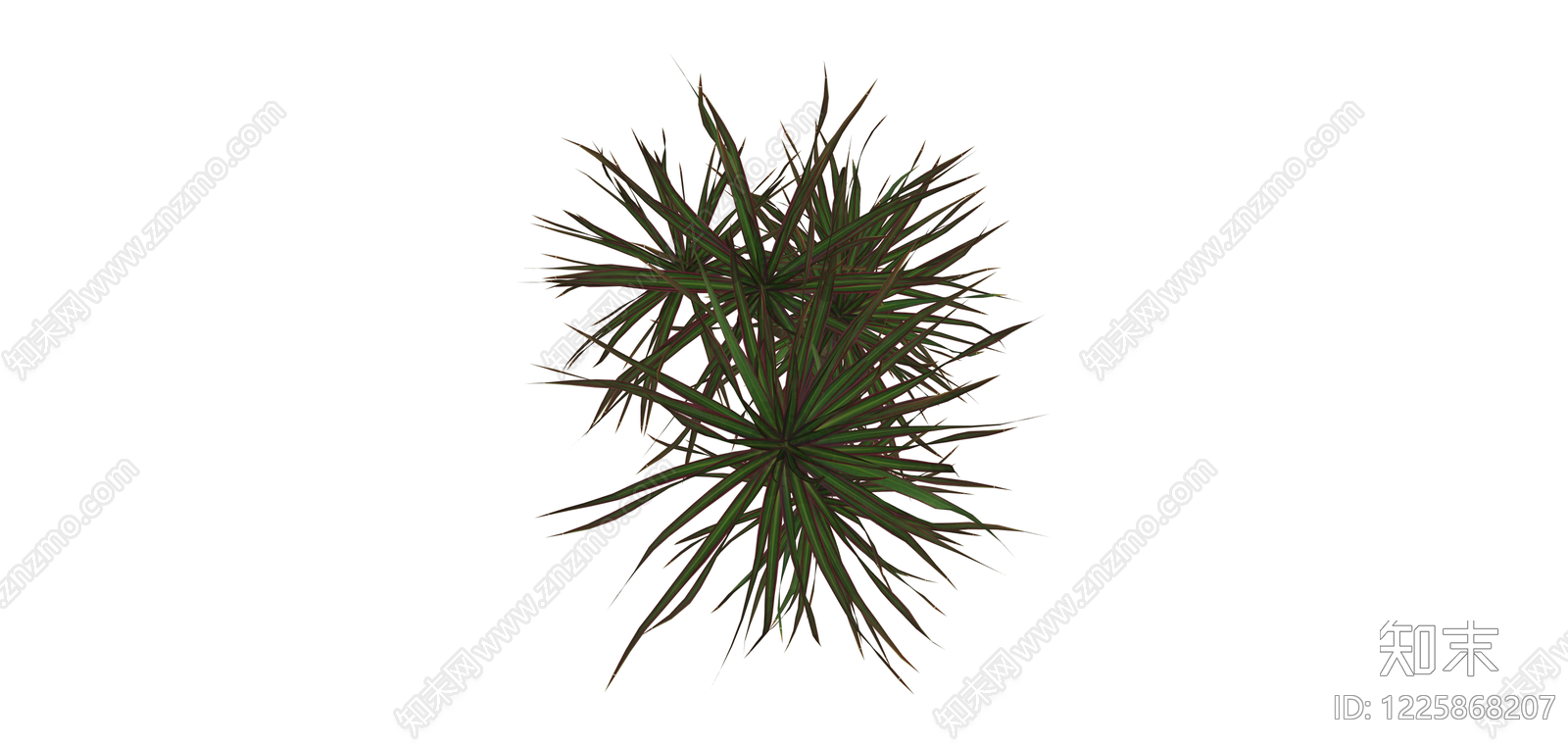多杆龙血树绿植SU模型下载【ID:1225868207】