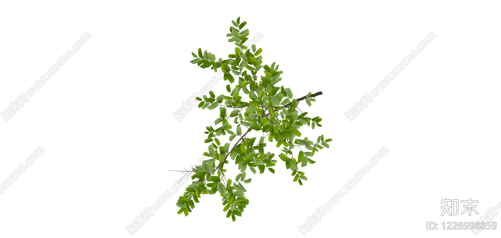 单株绿植苗木SU模型下载【ID:1226998859】