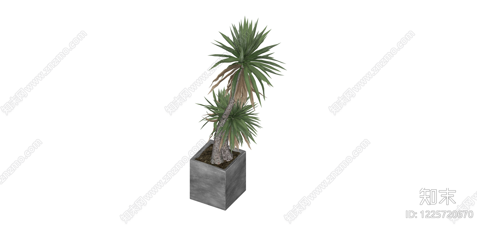 双头盆栽植物SU模型下载【ID:1225720670】