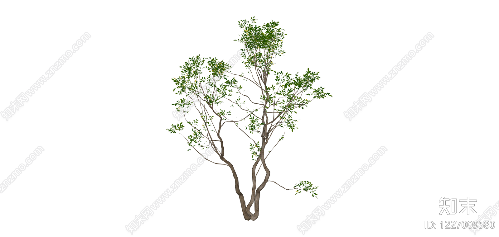 完整景观树木模型SU模型下载【ID:1227009580】