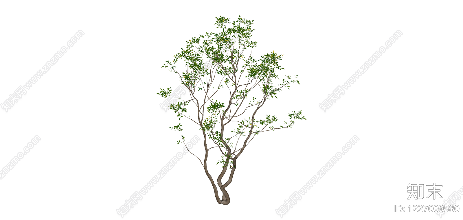 完整景观树木模型SU模型下载【ID:1227009580】