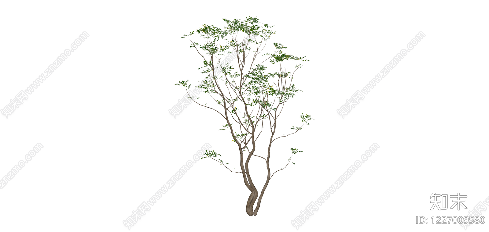 完整景观树木模型SU模型下载【ID:1227009580】