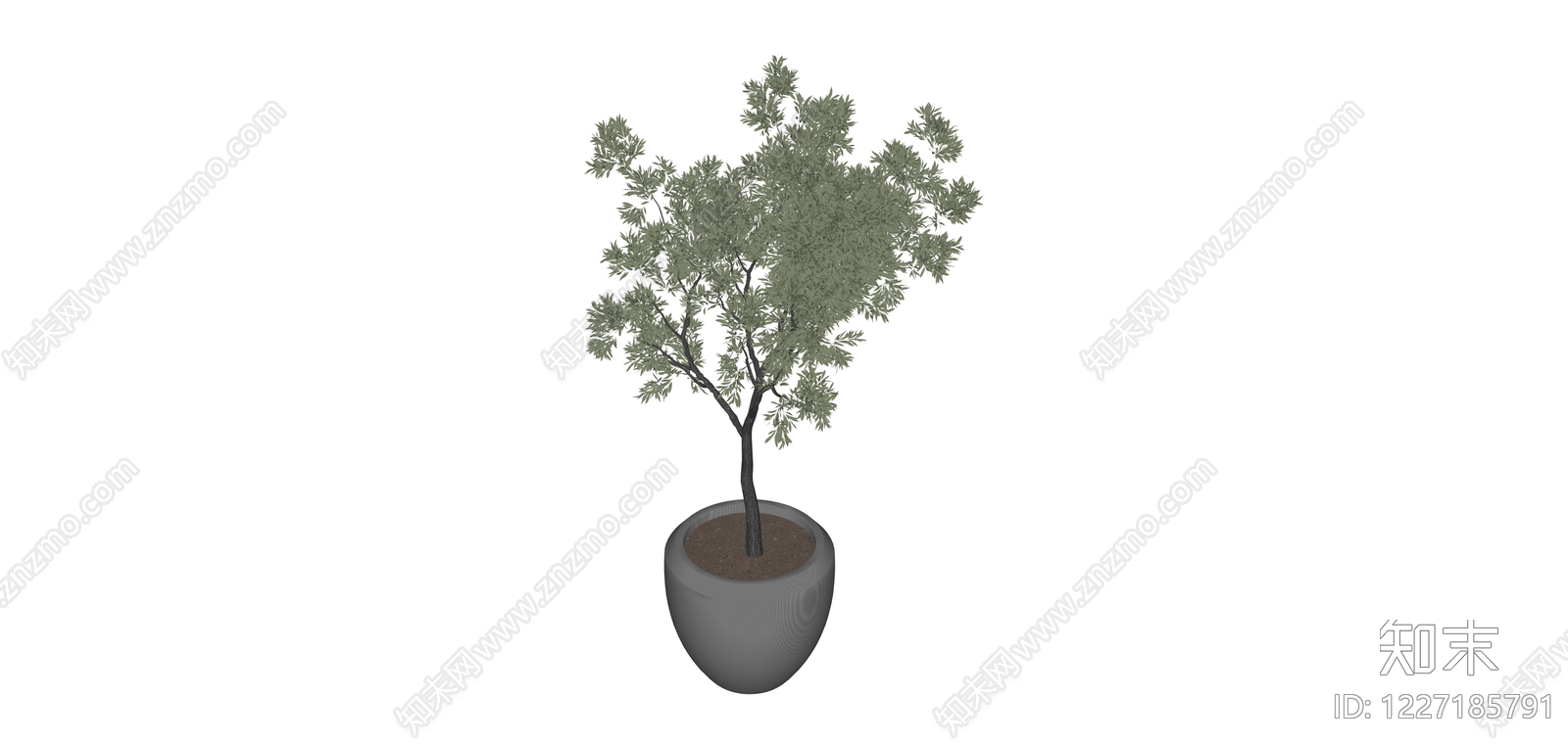 盆栽橄榄树模型SU模型下载【ID:1227185791】