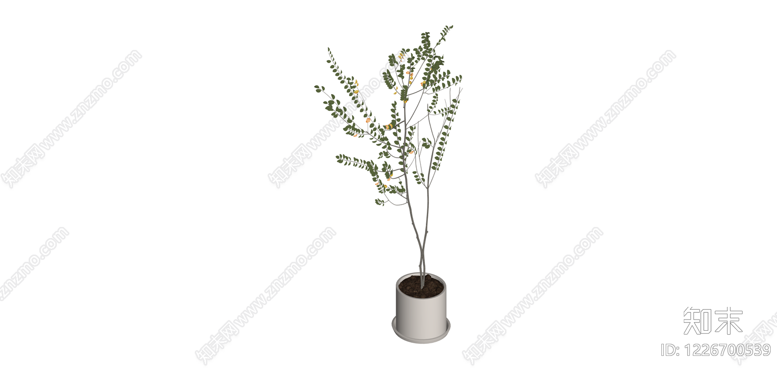 盆栽绿植模型SU模型下载【ID:1226700539】