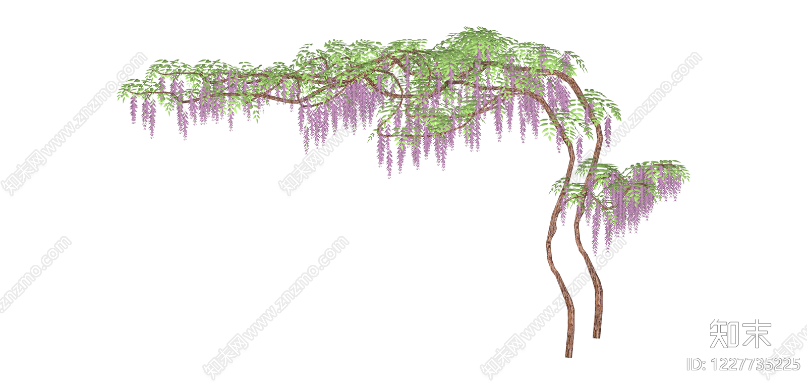 紫藤花树模型SU模型下载【ID:1227735225】
