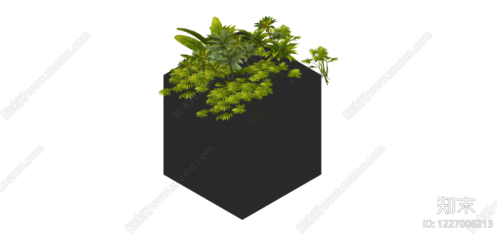 黑色方形花箱盆栽组合SU模型下载【ID:1227006213】